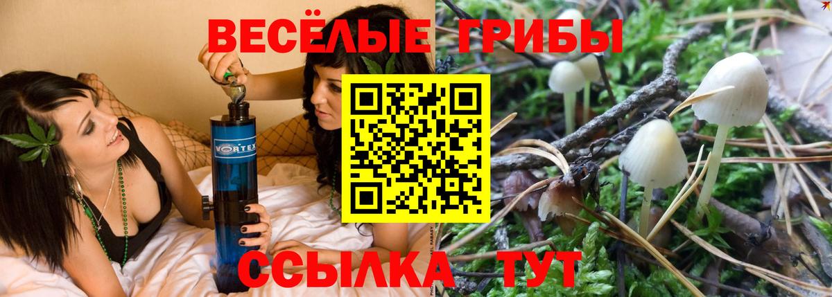 Псилоцибиновые грибы Magic Shrooms Феодосия