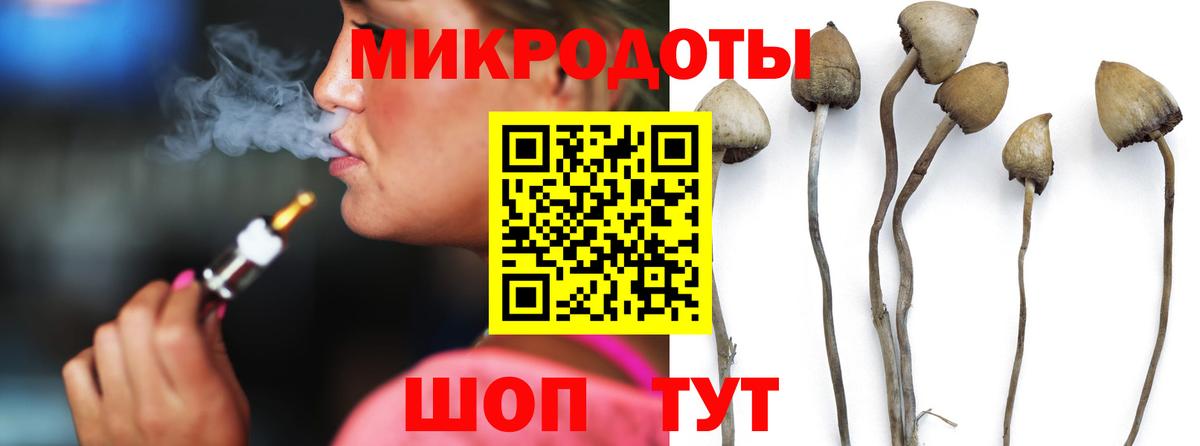 Феодосия  Псилоцибиновые грибы Psilocybine cubensis  наркотики  Вход с VPN 